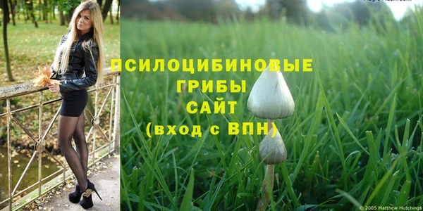 первитин Арсеньев