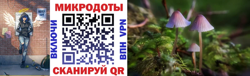 Галлюциногенные грибы мицелий  Пошехонье 